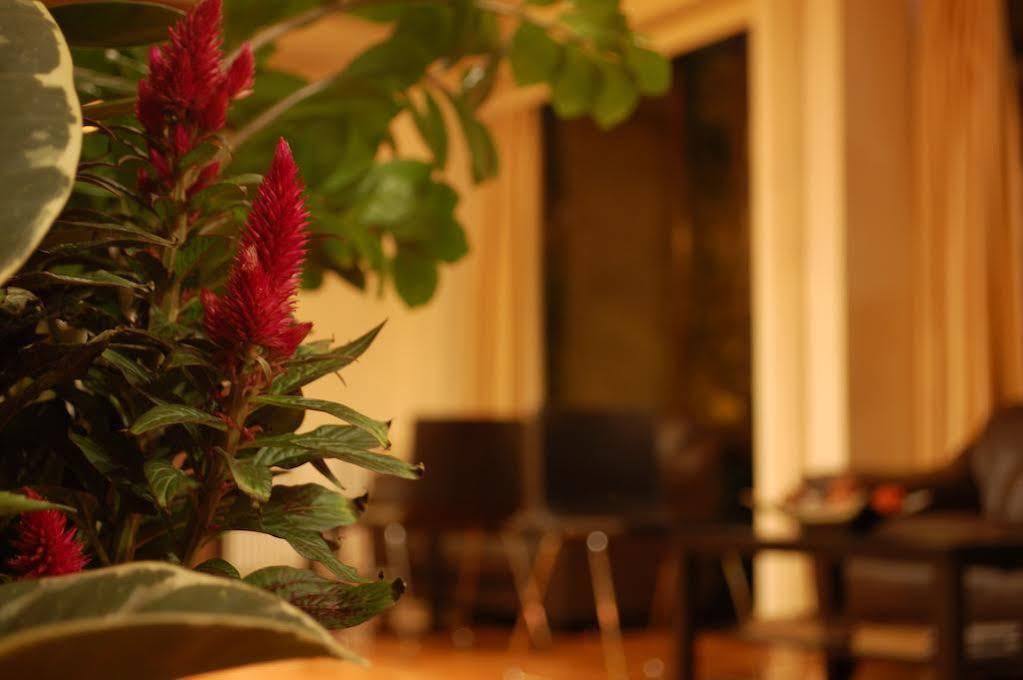 Hotel Platon Athene Buitenkant foto